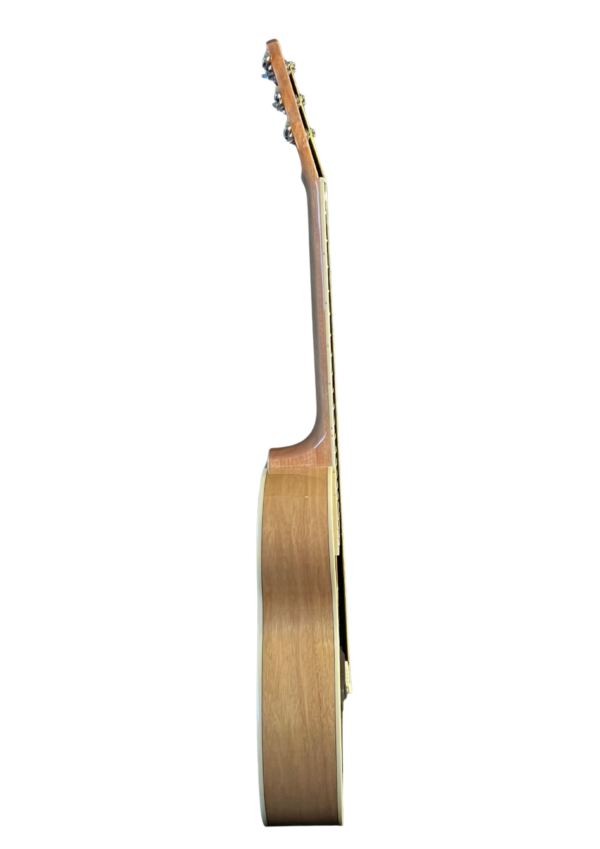 Акустическая Гитара Adagio MDF-4030
