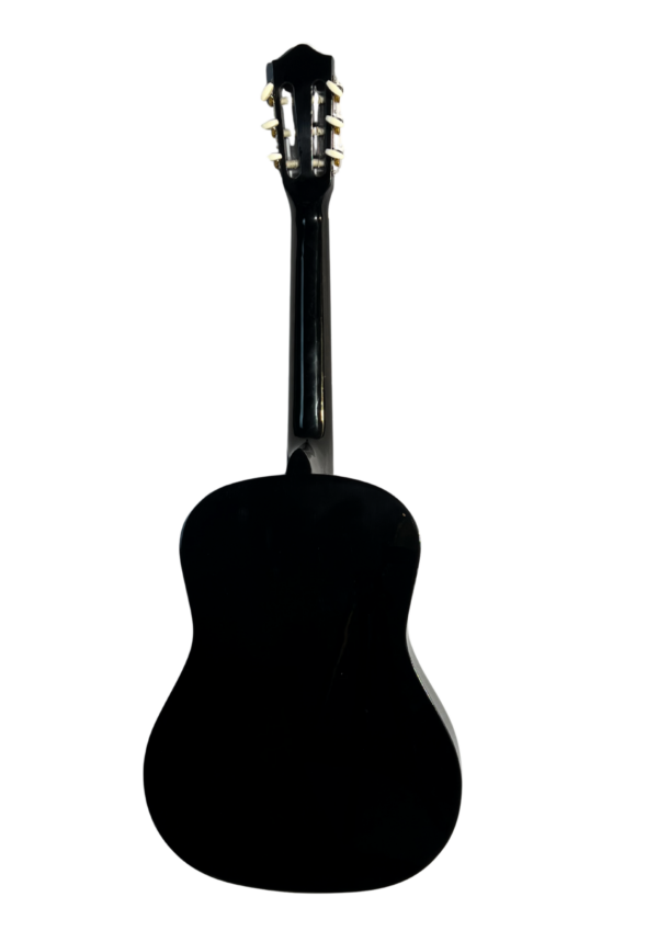 IMG_5493 Классическая гитара Agnetha APS-180 BK 3/4