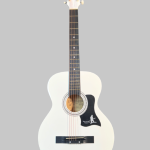Гитара акустическая Ronnie wood AG38 WH белый