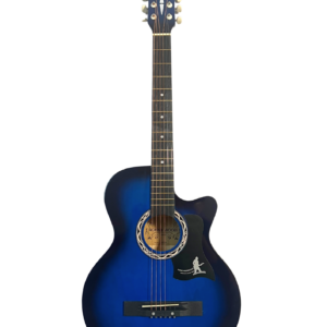 Гитара акустическая Ronnie Wood AG38 BLS синий