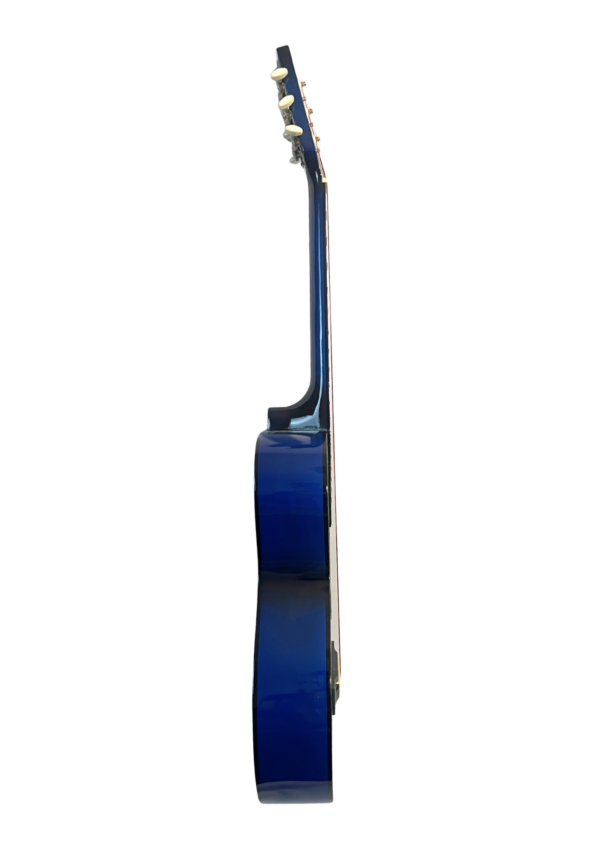 Гитара акустическая Ronnie Wood AG38 BLS синий