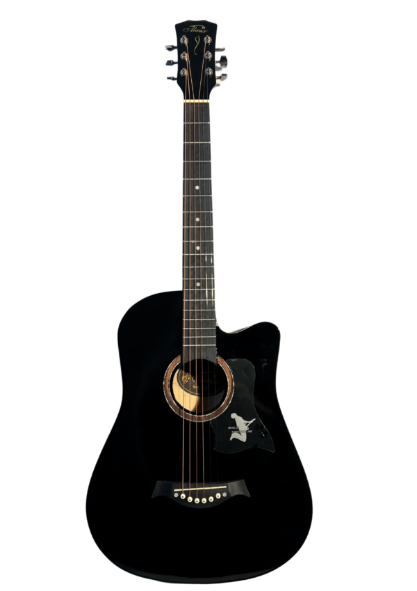 Гитара акустическая Ronnie Wood AG38 ВК черный